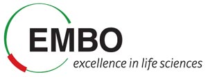 EMBO Logo IST Austria