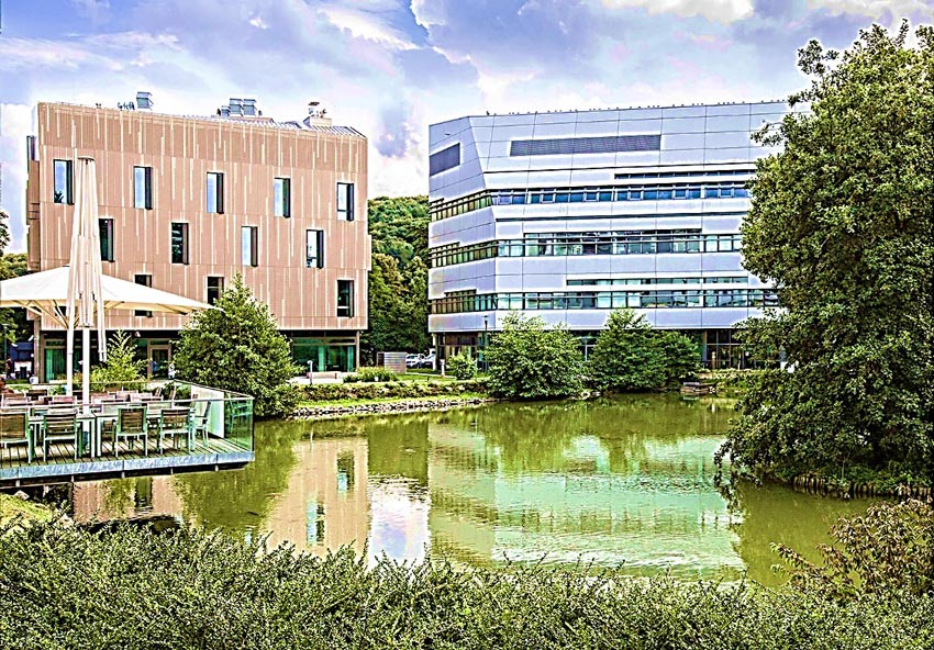 Virtual ISTA campus in the metaverse. Test simulations of Preclinical Facility, Lab Building East, and ISTA’s pond provide deceptively realistic environments in terms of water surface wrinkles and facade reflections. © ISTA