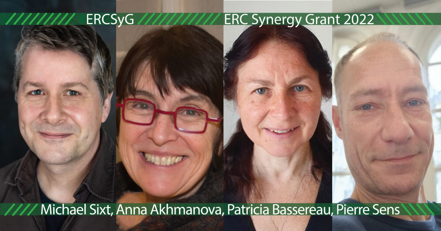 Composite image of participating scientists in the project PushingCell that has been awarded the Synergy Grant by the European Research Council © ISTA, images sourced from scientists