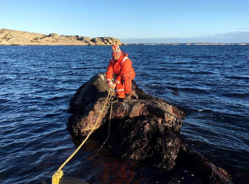 Kerstin Johannesson on the experimental skerry