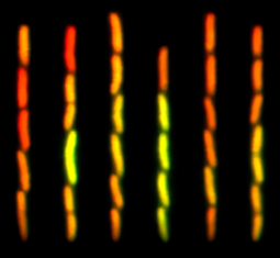 Main image for article