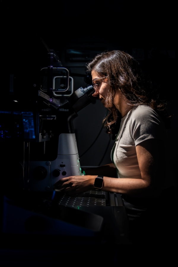 Patricia Reis-Rodrigues at the microscope in the lab at the Institute of Science and Technology Austria (ISTA)