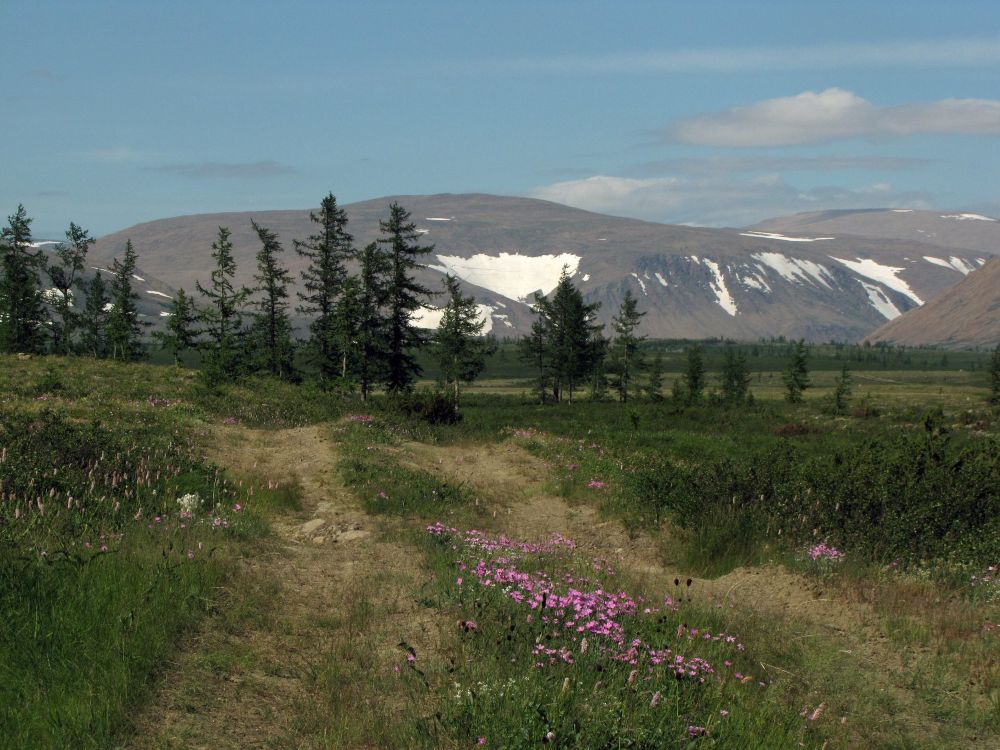 Tundra (c) Evgeniya Pravdolyubova V1 Die arktische Tundra Sibiriens.