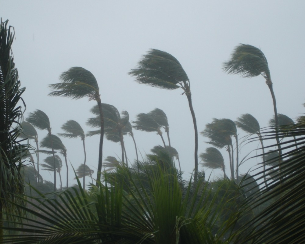 Hurricanes, typhoons, and cyclones can cause extensive devastation, as shown by several recent examples such as Hurricane Melissa in the Caribbean and Typhoon Kalmaegi in the Philippines and Vietnam.