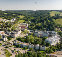 Main image for article