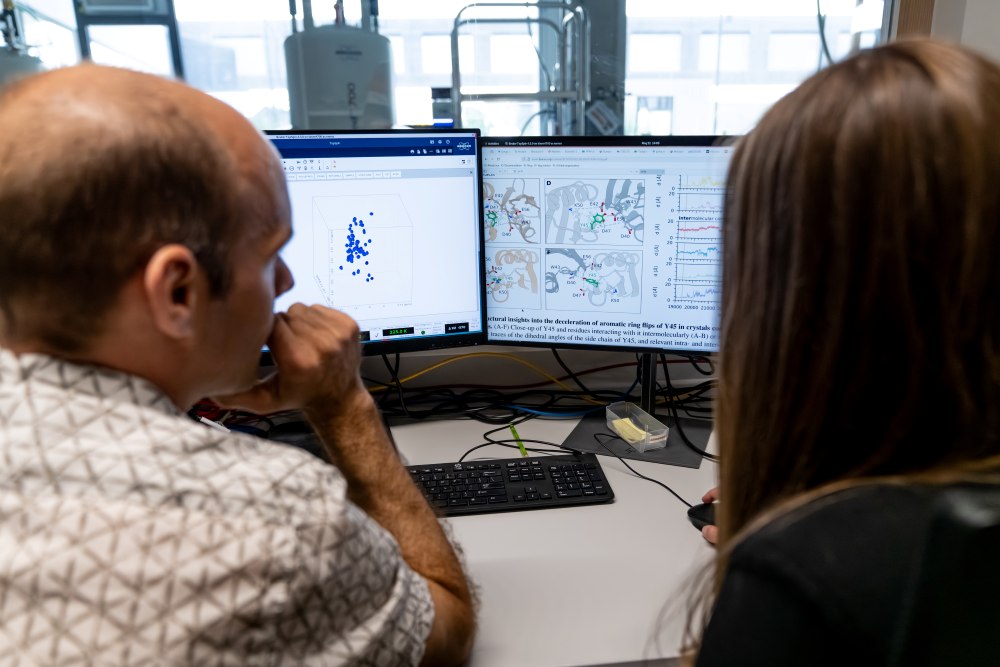 Professor Paul Schanda and PhD student Lea Becker.