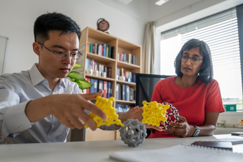 Molekülstruktur eines Nano-‚Fußballs‘ (grau) und Goldelektroden (gelb), 3D-gedruckt am ISTA Machine Shop.