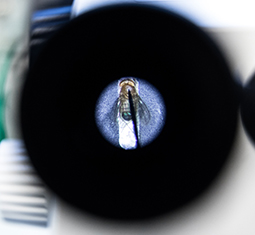 Main image for article