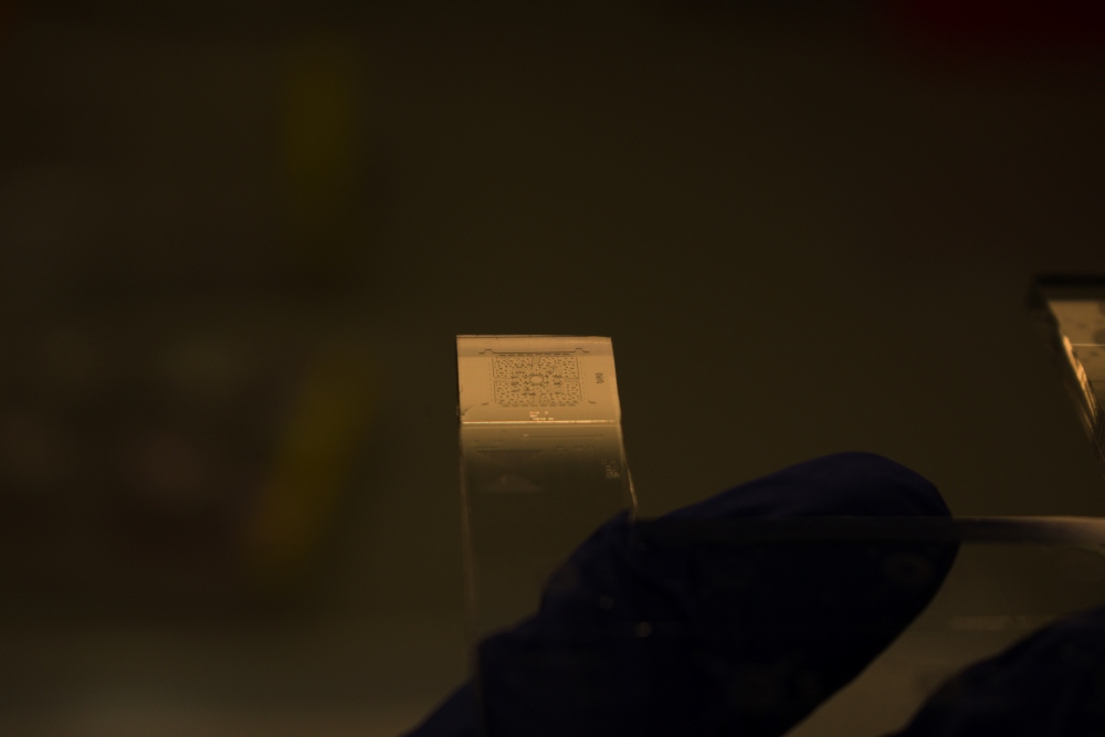 A microfluidic chip up close.